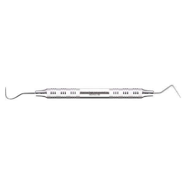 AmericanEagle Explorer 23 Probe Michigan AEEP23-0B
