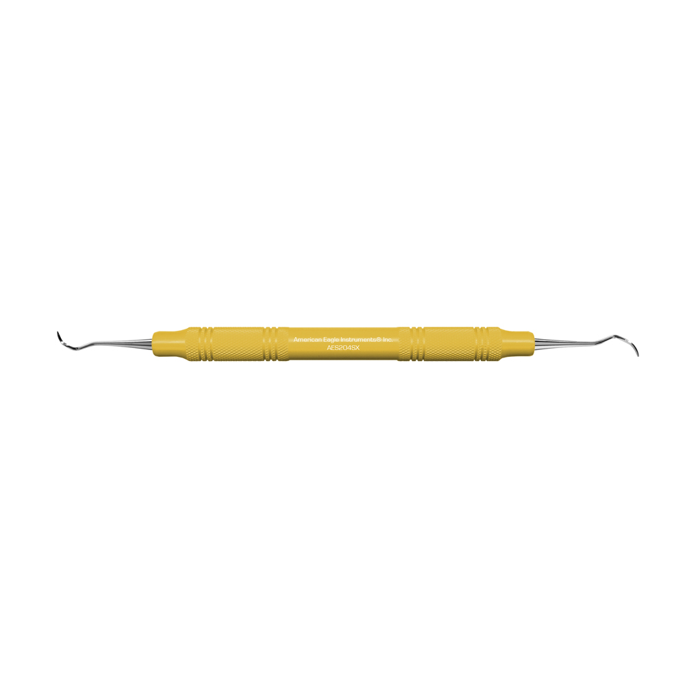 American Eagle 204S Stainless Steel Scaler