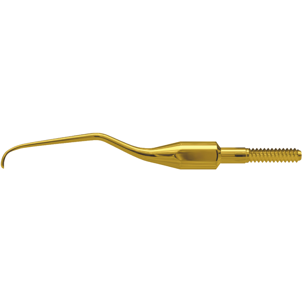 American Eagle Gracey Access 1 XP® Quik-Tip™ sans affûtage