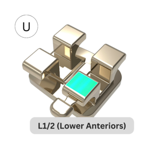 Traditional Slim Stainless Steel Bracket | L1/2 (Lower Anteriors)