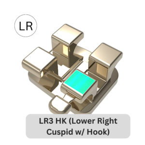 Traditional Slim Stainless Steel Bracket | LR3 HK (Lower Right Cuspid w/Hook)