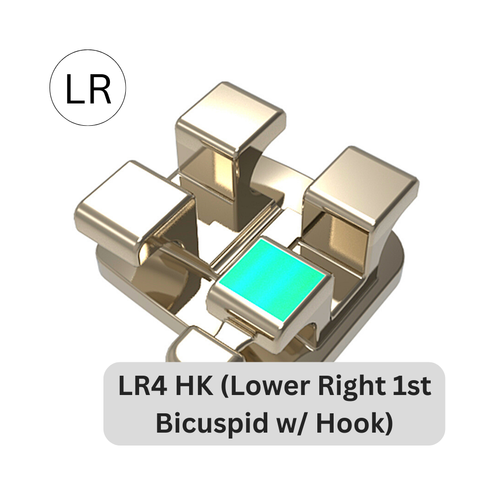 Support mince traditionnel en acier inoxydable | LR4 HK (1er bicuspide inférieur droit avec crochet)