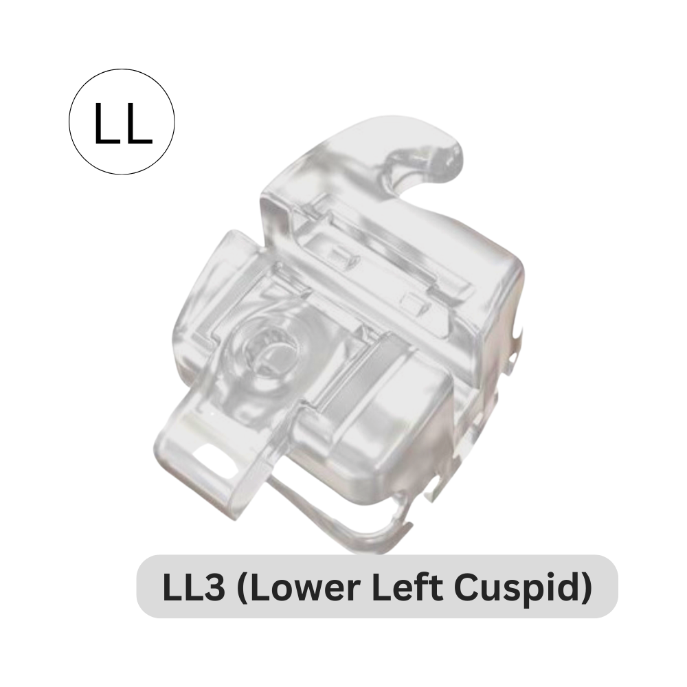 ORAPRO® Equation™ Self Ligating Aesthetic Bracket | LL3 (Lower Left Cuspid)