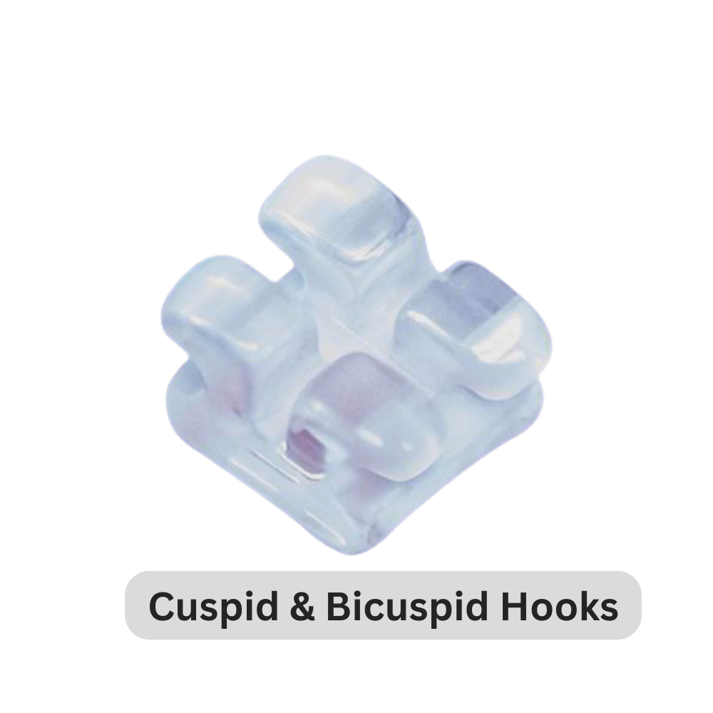 Aesthetic Bracket, Monocrystalline Sapphire | Cuspid and Bicuspid Hooks