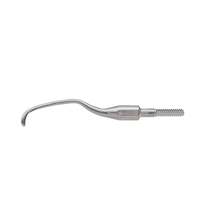 American Eagle Gracey 12 Stainless Steel Quik-Tip™