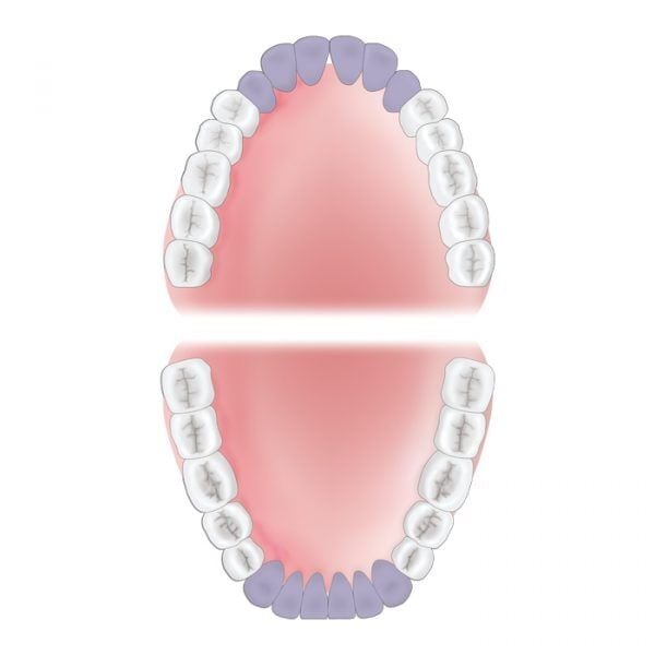 Mouth Area Anterior 600x600 20
