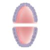 Mouth Area Full Mouth 600x600 10