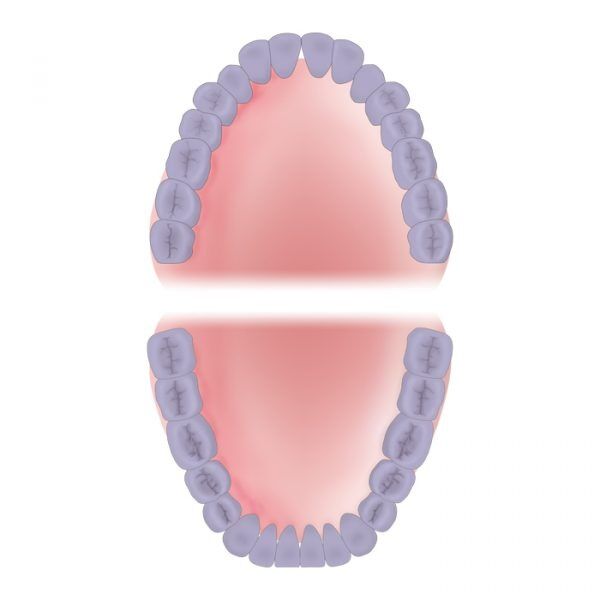 Mouth Area Full Mouth 600x600 10