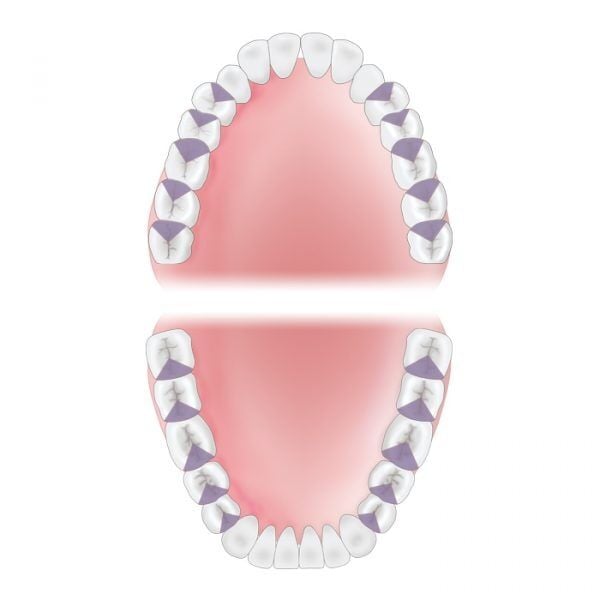 Mouth Area Mesial 600x600 13