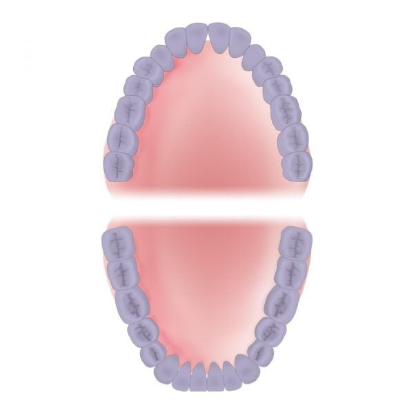 Mouth Area Full Mouth 600x600 10