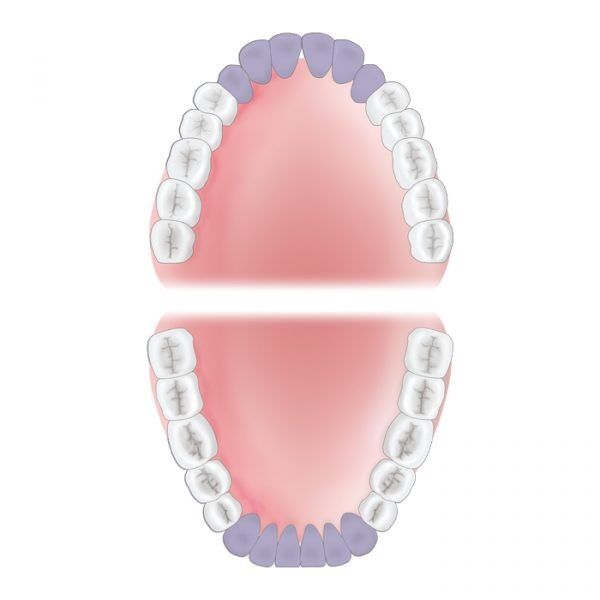 Mouth Area Anterior 600x600 20