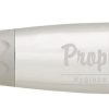 Prophypal Silver Handpiece (1)